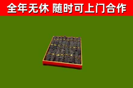 阳春市回收海参